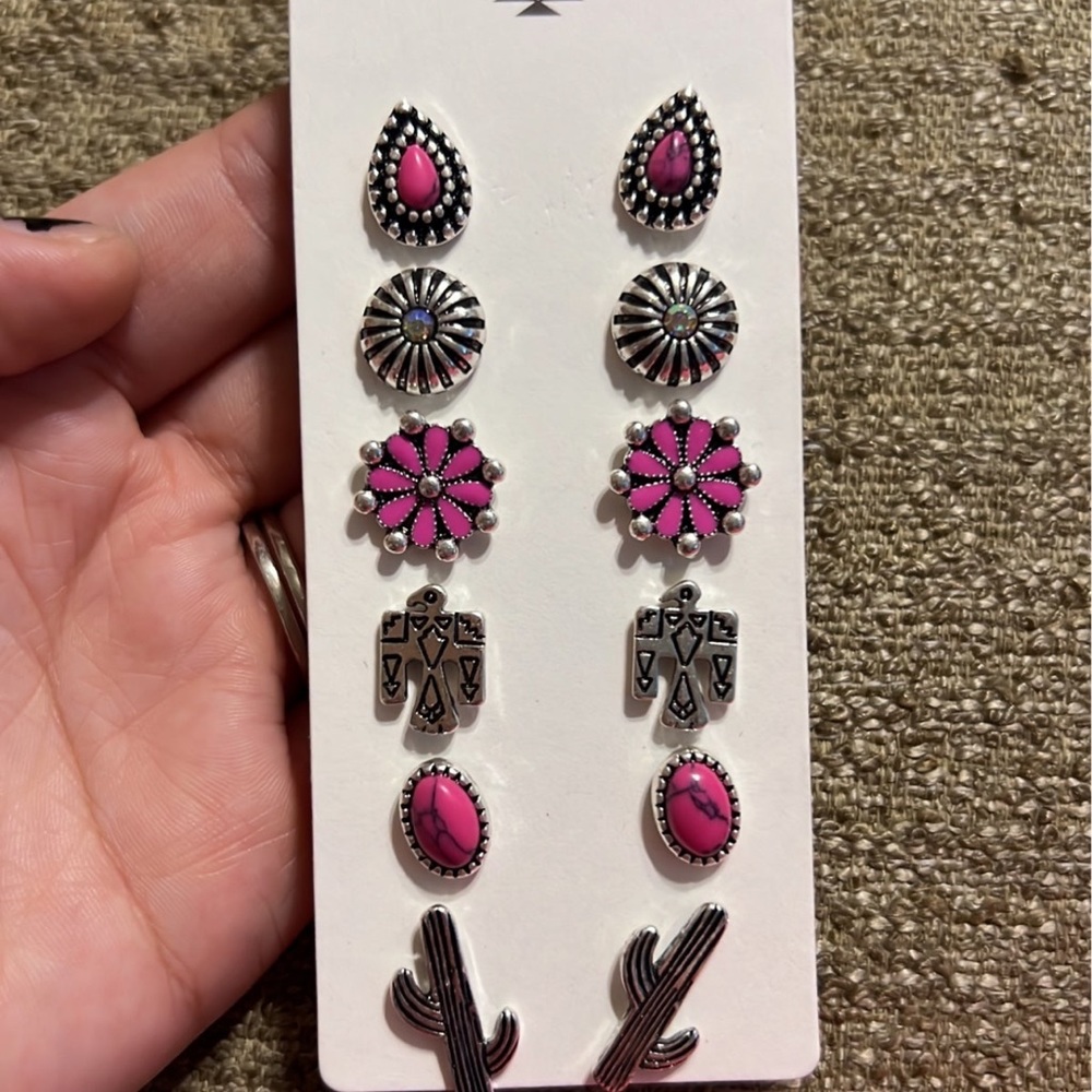 6 piece earring set (southwestern pink)